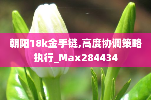 朝阳18k金手链,高度协调策略执行_Max284434