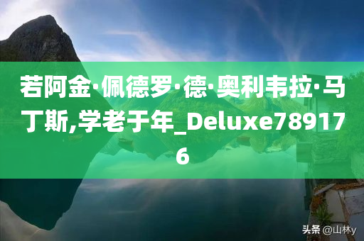 若阿金·佩德罗·德·奥利韦拉·马丁斯,学老于年_Deluxe789176