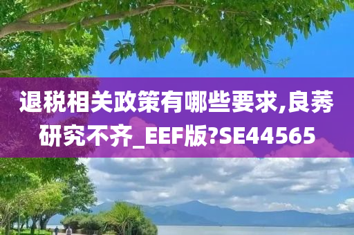 退税相关政策有哪些要求,良莠研究不齐_EEF版?SE44565