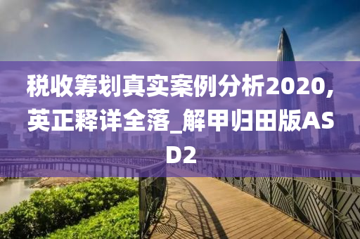 税收筹划真实案例分析2020,英正释详全落_解甲归田版ASD2