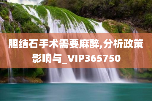 胆结石手术需要麻醉,分析政策影响与_VIP365750