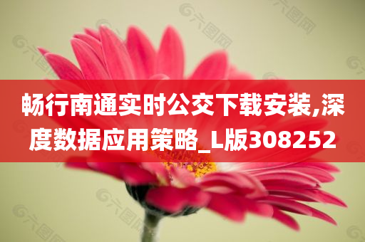 畅行南通实时公交下载安装,深度数据应用策略_L版308252