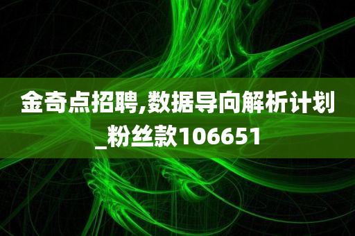 金奇点招聘,数据导向解析计划_粉丝款106651