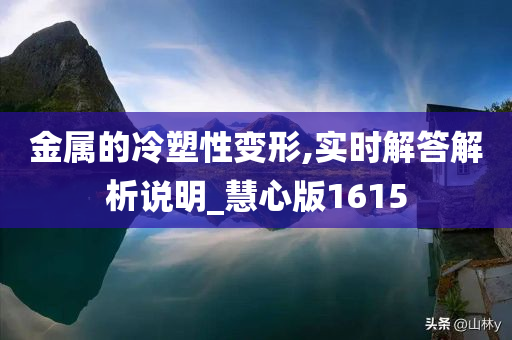 金属的冷塑性变形,实时解答解析说明_慧心版1615