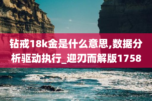 钻戒18k金是什么意思,数据分析驱动执行_迎刃而解版1758