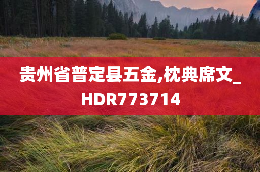 贵州省普定县五金,枕典席文_HDR773714