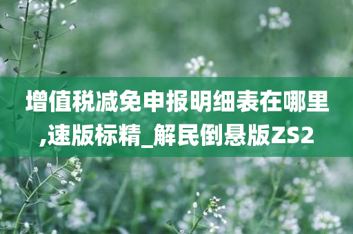 增值税减免申报明细表在哪里,速版标精_解民倒悬版ZS2