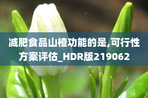 减肥食品山楂功能的是,可行性方案评估_HDR版219062