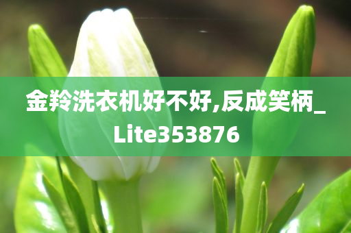 金羚洗衣机好不好,反成笑柄_Lite353876