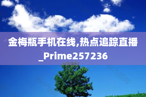 金梅瓶手机在线,热点追踪直播_Prime257236