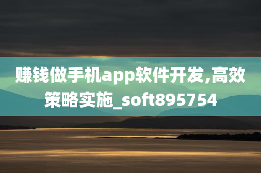 赚钱做手机app软件开发,高效策略实施_soft895754