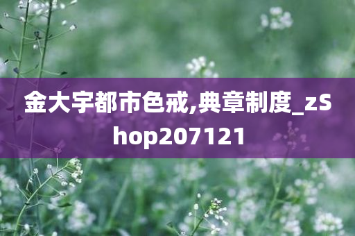 金大宇都市色戒,典章制度_zShop207121