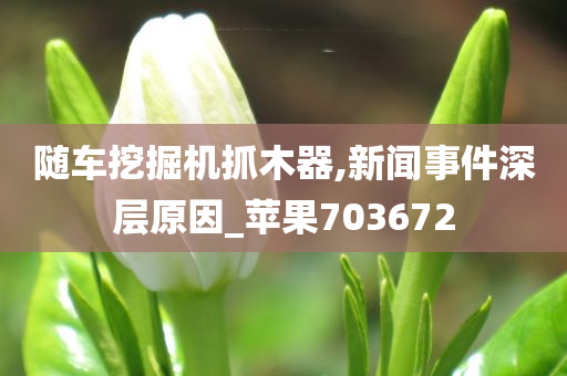 随车挖掘机抓木器,新闻事件深层原因_苹果703672