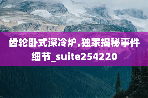 齿轮卧式深冷炉,独家揭秘事件细节_suite254220