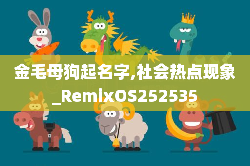 金毛母狗起名字,社会热点现象_RemixOS252535