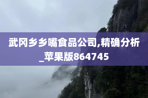 武冈乡乡嘴食品公司,精确分析_苹果版864745