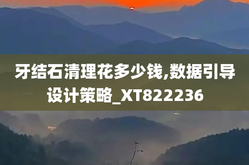 牙结石清理花多少钱,数据引导设计策略_XT822236