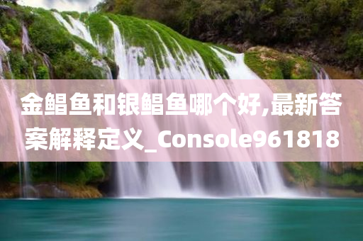 金鲳鱼和银鲳鱼哪个好,最新答案解释定义_Console961818