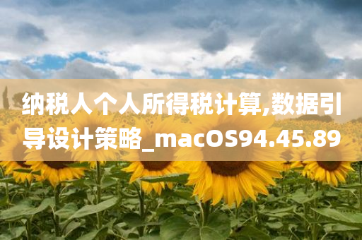 纳税人个人所得税计算,数据引导设计策略_macOS94.45.89