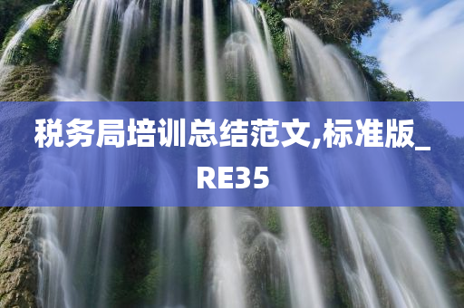 税务局培训总结范文,标准版_RE35