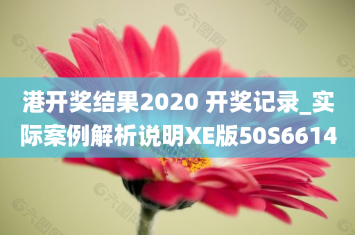 港开奖结果2020 开奖记录_实际案例解析说明XE版50S6614