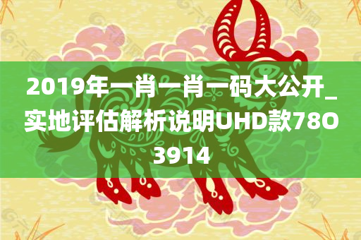 2019年一肖一肖一码大公开_实地评估解析说明UHD款78O3914