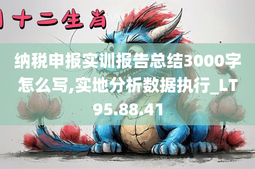 纳税申报实训报告总结3000字怎么写,实地分析数据执行_LT95.88.41