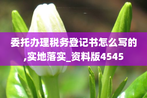 委托办理税务登记书怎么写的,实地落实_资料版4545