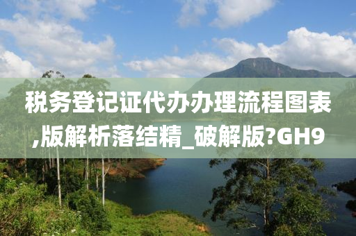 税务登记证代办办理流程图表,版解析落结精_破解版?GH9