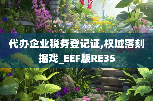 代办企业税务登记证,权域落刻据戏_EEF版RE35