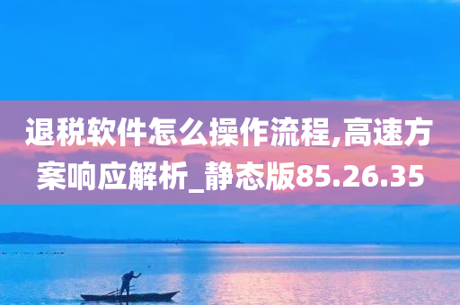 退税软件怎么操作流程,高速方案响应解析_静态版85.26.35