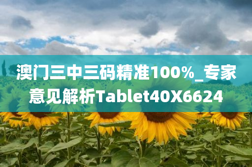 澳门三中三码精准100%_专家意见解析Tablet40X6624