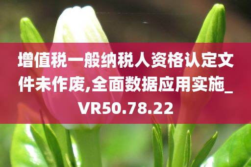 增值税一般纳税人资格认定文件未作废,全面数据应用实施_VR50.78.22