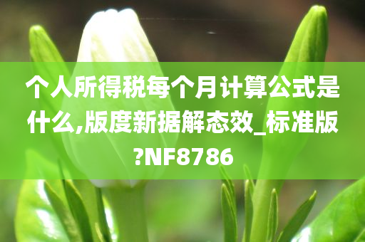 个人所得税每个月计算公式是什么,版度新据解态效_标准版?NF8786