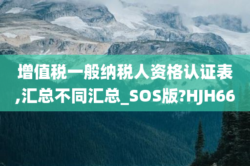 增值税一般纳税人资格认证表,汇总不同汇总_SOS版?HJH66