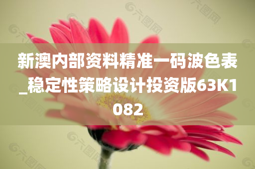 新澳内部资料精准一码波色表_稳定性策略设计投资版63K1082