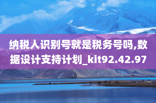 纳税人识别号就是税务号吗,数据设计支持计划_kit92.42.97