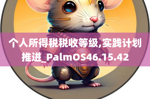 个人所得税税收等级,实践计划推进_PalmOS46.15.42