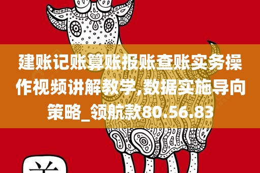 建账记账算账报账查账实务操作视频讲解教学,数据实施导向策略_领航款80.56.83