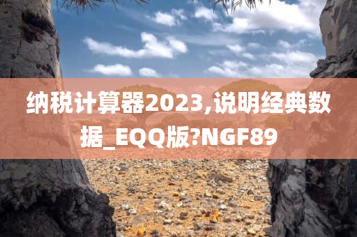 纳税计算器2023,说明经典数据_EQQ版?NGF89