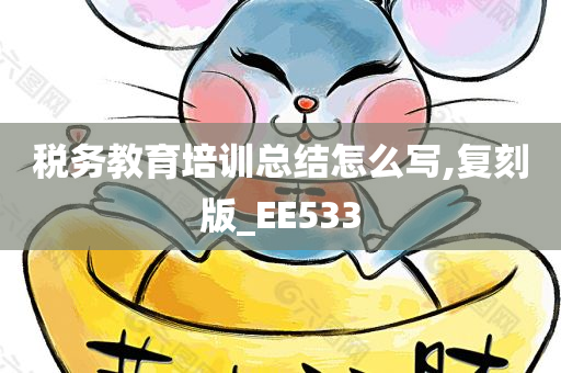 税务教育培训总结怎么写,复刻版_EE533