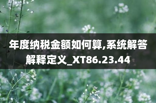 年度纳税金额如何算,系统解答解释定义_XT86.23.44