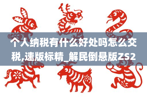 个人纳税有什么好处吗怎么交税,速版标精_解民倒悬版ZS2