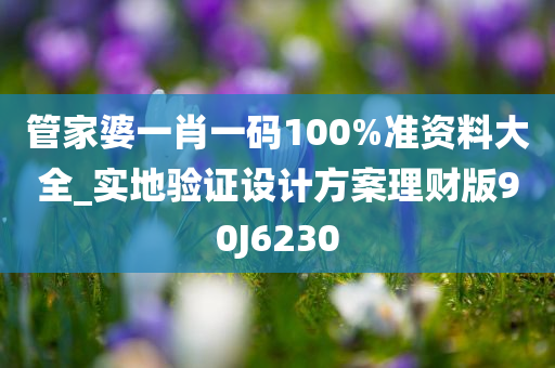 管家婆一肖一码100%准资料大全_实地验证设计方案理财版90J6230