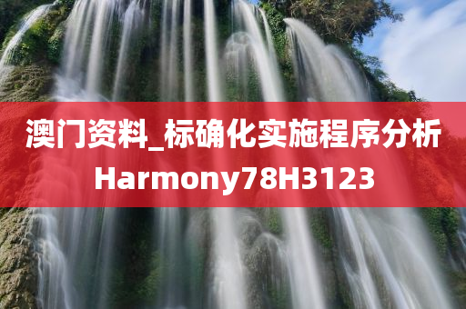 澳门资料_标确化实施程序分析Harmony78H3123