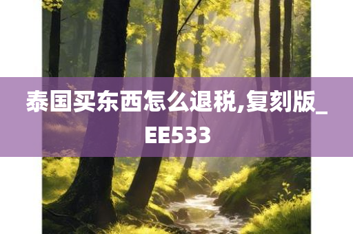 泰国买东西怎么退税,复刻版_EE533