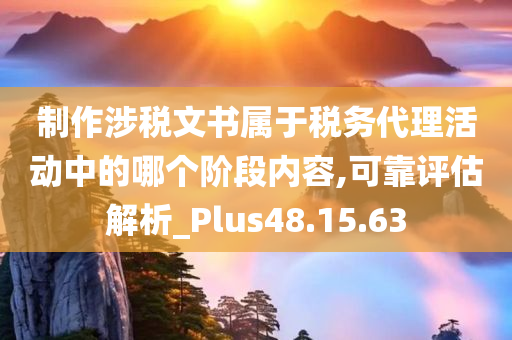 制作涉税文书属于税务代理活动中的哪个阶段内容,可靠评估解析_Plus48.15.63