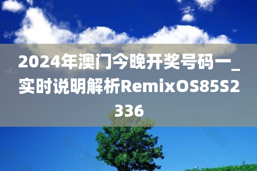 2024年澳门今晚开奖号码一_实时说明解析RemixOS85S2336