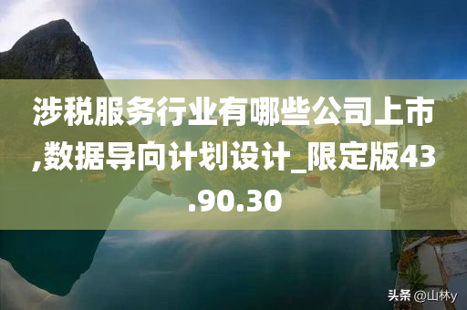 涉税服务行业有哪些公司上市,数据导向计划设计_限定版43.90.30