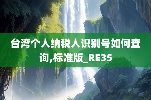 台湾个人纳税人识别号如何查询,标准版_RE35